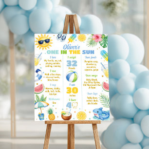 One in the Sun Summer Party Milestone Sign