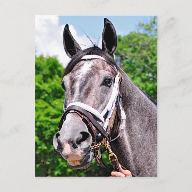 One King's Man Postcard (Front)