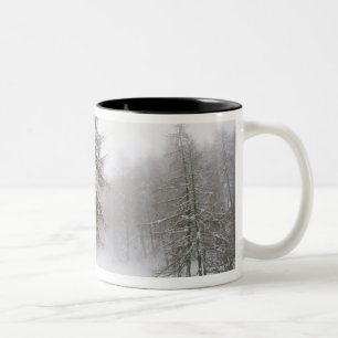 One leaning tree in a snow covered path Two-Tone coffee mug