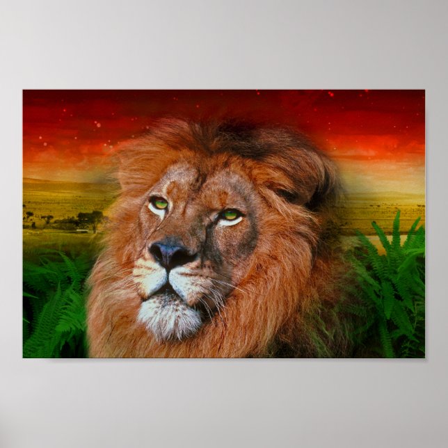 One Love Lion II - Poster / Print (Front)