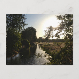 One Magical Day Postcard