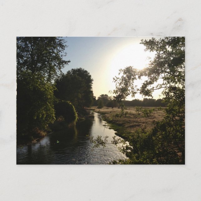 One Magical Day Postcard (Front)