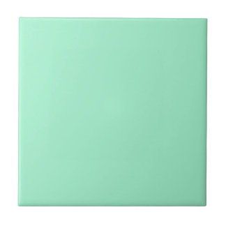 One Mint Ceramic Tile