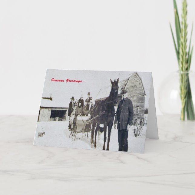 One "Mule" Open Sleigh Holiday Card (Front)