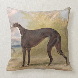 One of George Lane Fox's Winning Greyhounds: the B Throw Pillow
