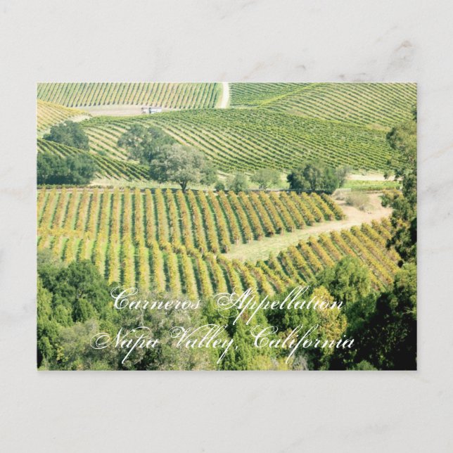 One of Napa Valley's many appellations or regions Postcard (Front)