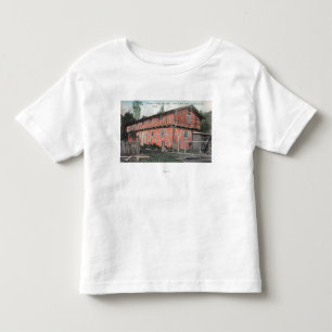 One of the Oldest Houses in Valley Toddler T-shirt