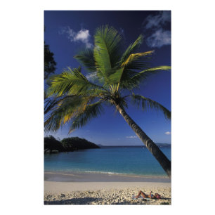 One of the World's Best beaches; Trunk Bay on Photo Print