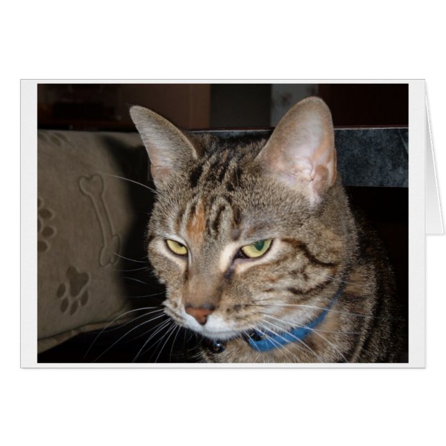 One of those days (Front Horizontal)