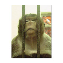 One of those days....