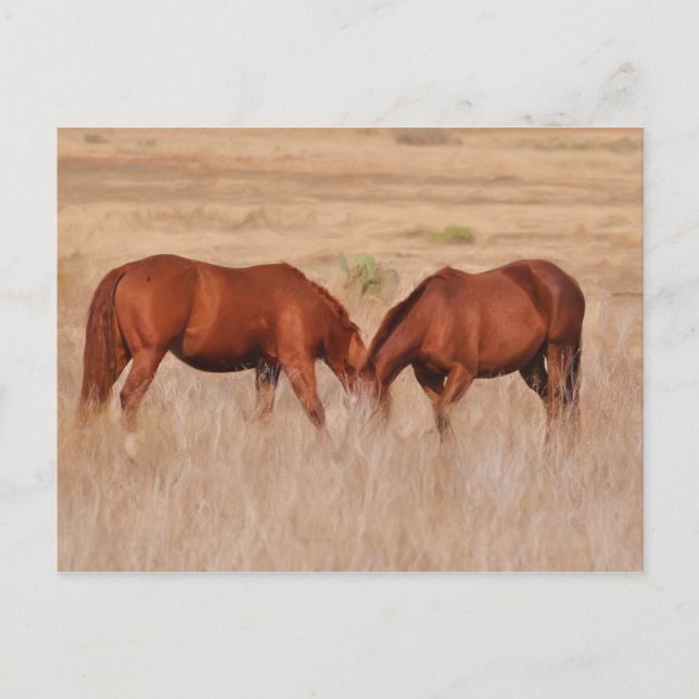 One or two heads postcard (Front)