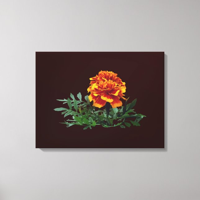One Orange Marigold with Yellow Tips Canvas Print (Front)