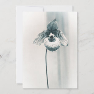 One Orchid Flower Card
