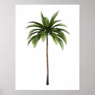 One Palm Tree Tropical Beach Island Art Simple Fun Poster
