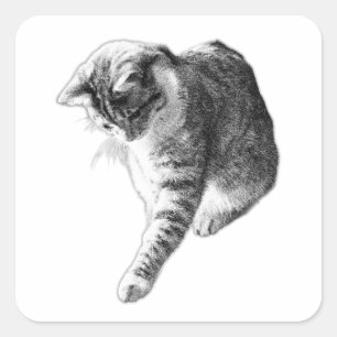One Paw from the Truth Square Sticker