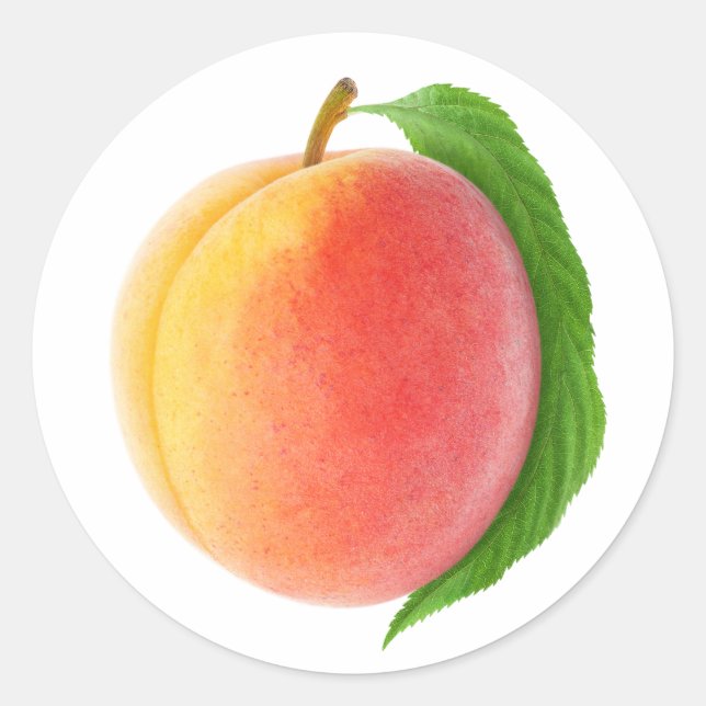 One peach with leaf classic round sticker (Front)