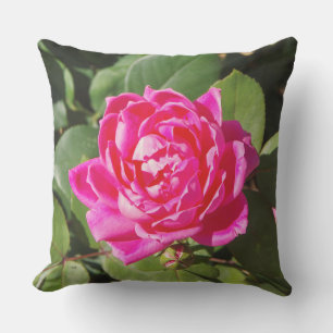 One Pink Rose Pillow