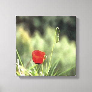 One Poppy Artistic Wildflower Painting Canvas Print