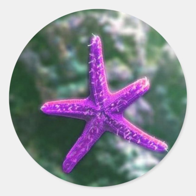 One Purple Starfish Classic Round Sticker (Front)