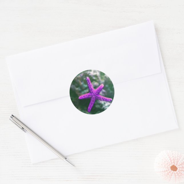 One Purple Starfish Rocky Beach Classic Round Sticker (Envelope)
