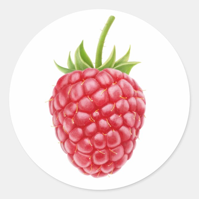 One raspberry classic round sticker (Front)