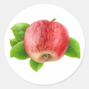 One red apple classic round sticker
