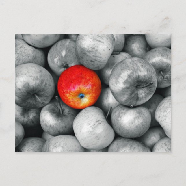 One Red Apple Postcard (Front)