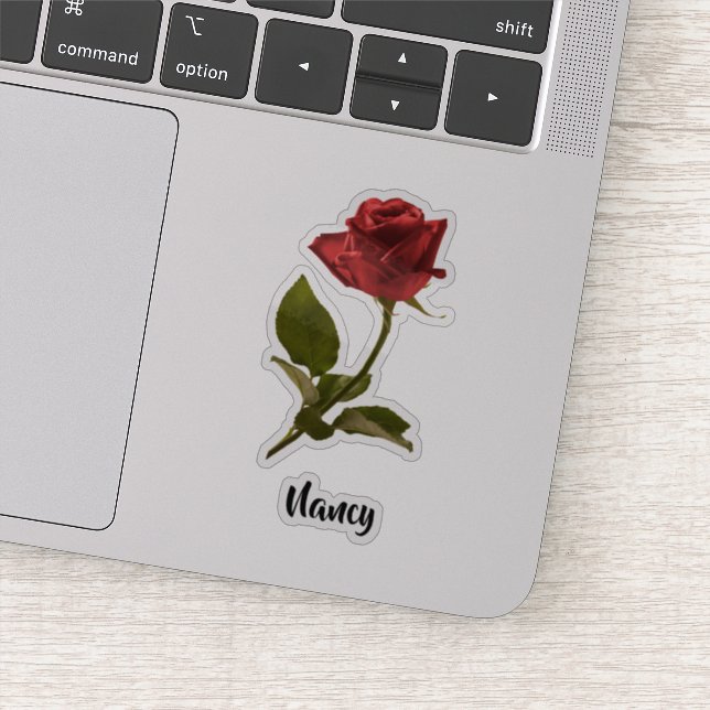 One Red Knockout Rose And Stem Floral Photography (Detail)