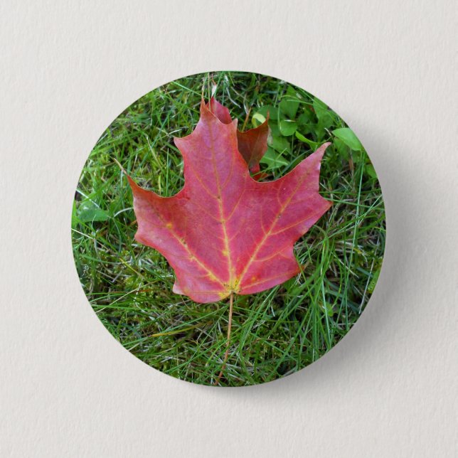 One Red Maple Leaf on grass 2 Inch Round Button (Front)