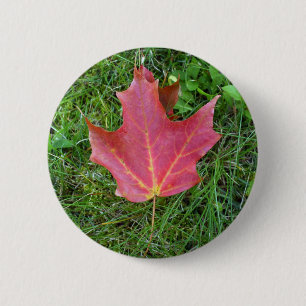 One Red Maple Leaf on grass 2 Inch Round Button