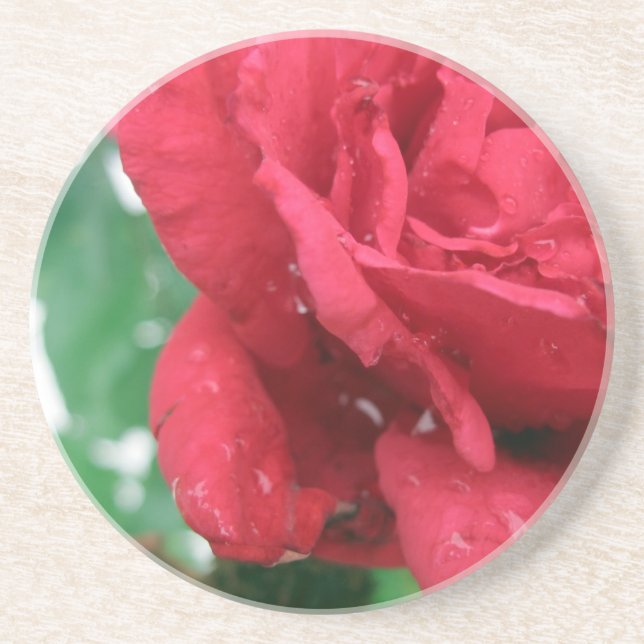 One Red Rose Coaster (Front)