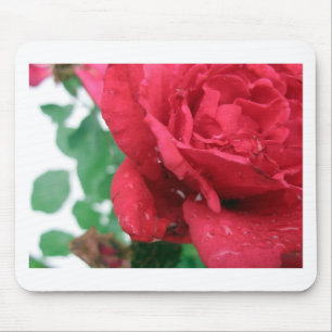 One Red Rose Mouse Pad