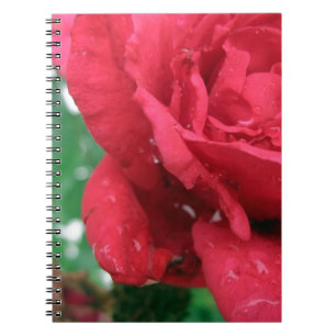 One Red Rose Notebook