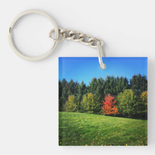 One Red Tree Keychain