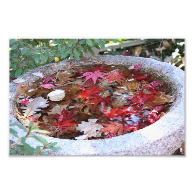 One Serving of Autumn Photo Print (Front)