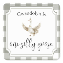 ONE Silly Goose Cute Kid's 1st Birthday Party