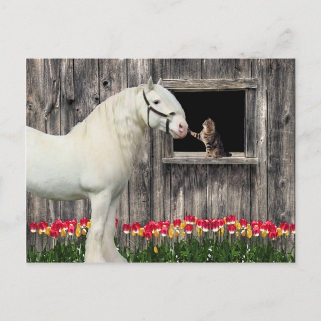 "One Spring Morning" Postcard (Front)