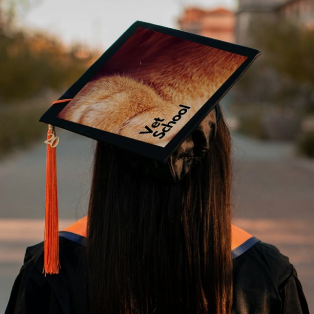 One-Step Grad Cap -  Faculty - "Vet School" (Introducing “Vet School”, Grad Lore’s bold, one step, polished peel‑and‑stick grad cap topper.)
