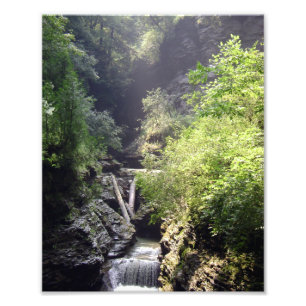 ONE SUMMER'S DAY IN THE GLEN. NO.2 PHOTO 2011