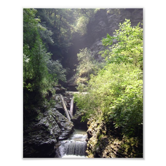 ONE SUMMER'S DAY IN THE GLEN. NO.2  PHOTO 2011 PRINT (Front)