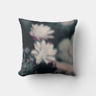 One Throw Pillow