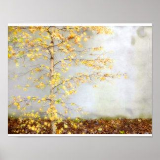 One Tree Poster