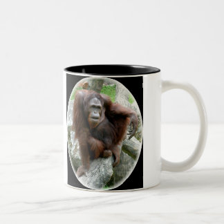 One Very Handsome Orangutan Two-Tone Coffee Mug