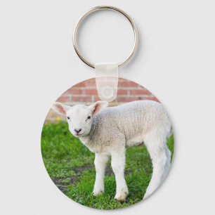 One white newborn lamb standing in green grass keychain