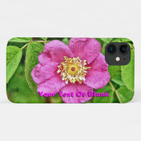 One Wild Rose