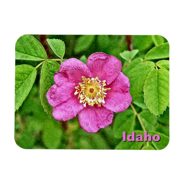 One Wild Rose Magnet (Horizontal)