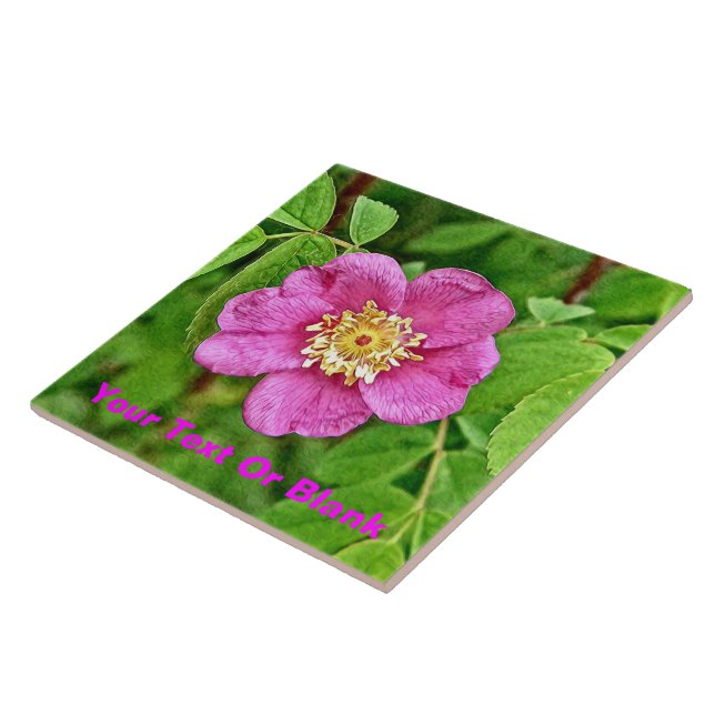 One Wild Rose Tile (Side)