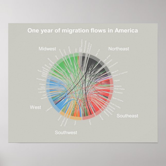 One year of migration flows in America Poster (Front)