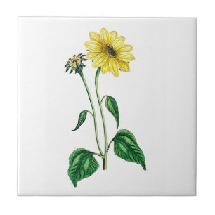 One Yellow Daisy Ceramic Tile