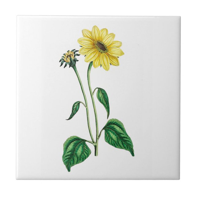 One Yellow Daisy Ceramic Tile (Front)